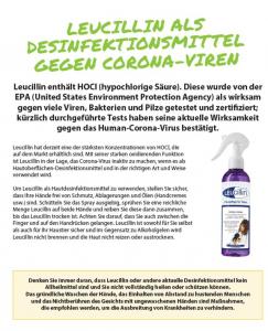Leucillin Antiseptisches Spray (wirkt gegen CORONA COVID-19)!